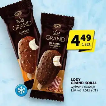 Groszek Lody Grand Koral oferta