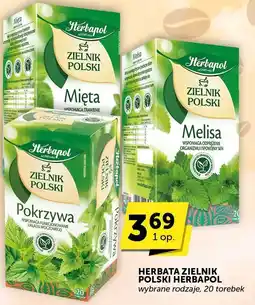ABC Herbata Zielnik Polski Herbapol oferta