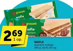 Groszek Wafle groszek oferta