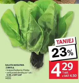 Selgros Sałata masłowa z bryłą Selgros oferta