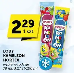 ABC Lody Kameleon Hortex oferta