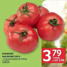 Selgros Pomidory malinowe Selgros oferta