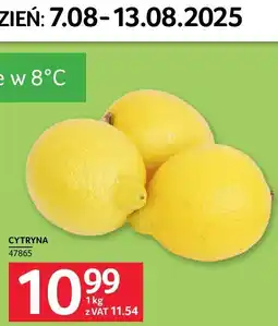 Selgros Cytryna Selgros oferta