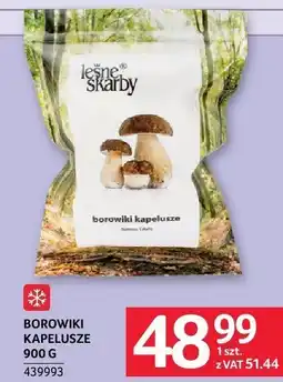 Selgros Borowiki kapeluszowe Grzyby Sicily oferta