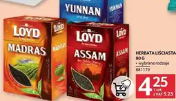 Selgros Herbata liściasta Loyd różne rodzaje 80g oferta