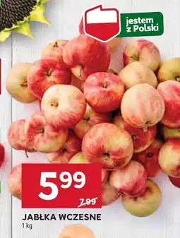 Stokrotka Jabłka wczesne Stokrotka oferta