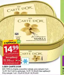 Stokrotka Lody Carte d'Or, wszystkie rodzaje Algida oferta