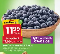 Stokrotka Borówki amerykańskie 1 opak. Stokrotka oferta