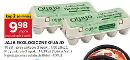 Stokrotka Jajka ekologiczne Oljajo oferta
