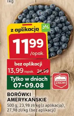 Stokrotka Borówki amerykańskie Stokrotka oferta