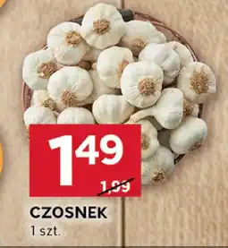 Stokrotka Czosnek Stokrotka oferta