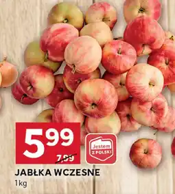 Stokrotka Jabłka wczesne Stokrotka oferta