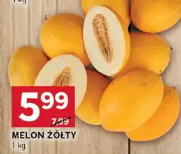 Stokrotka Melon żółty Stokrotka oferta