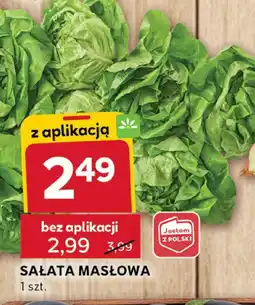 Stokrotka Sałata masłowa Stokrotka oferta