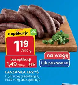 Stokrotka Kiełbasa Kaszanka krzyś Stokrotka oferta
