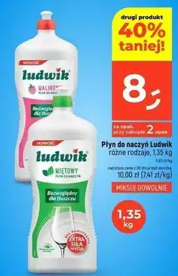Dealz Płyn do mycia naczyń miętowy Ludwik oferta