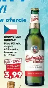 Kaufland Piwo Budweiser oferta