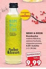 Kaufland Kombucha zielona herbata Nebo & Beon oferta