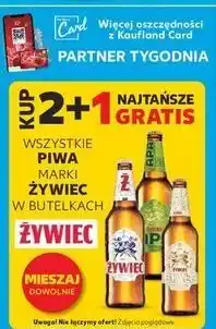 Kaufland Piwo Żywiec Białe oferta