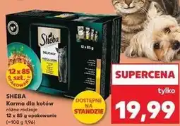 Kaufland Karma dla kota smaki drobiowe w galaretce Sheba Delicacy In Jelly oferta