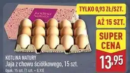 ALDI Jaja kl. m Kotlina Natury oferta