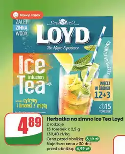 Dino Herbata ice tea cytryna i limonka z miętą Loyd Tea The Magic Experience oferta