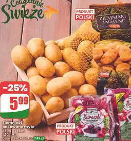 Dino Ziemniaki polskie oferta