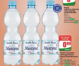 Dino Woda lekko gazowana Muszyna Skarb Życia oferta