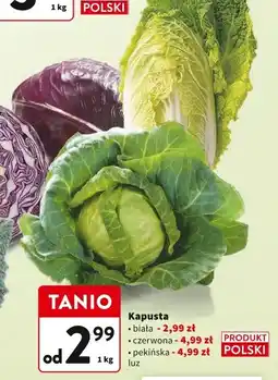 Intermarche Kapusta biała Intermarche oferta