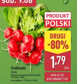 ALDI Rzodkiewki oferta