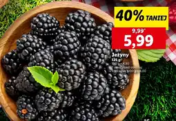 Lidl Jeżyny oferta