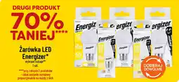 Polomarket Żarówka LED Energizer oferta