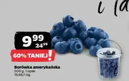 Netto Borówka amerykańska oferta
