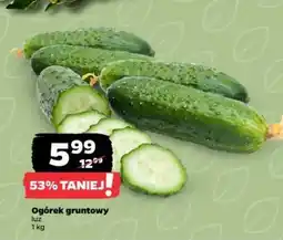 Netto Ogórek gruntowy oferta