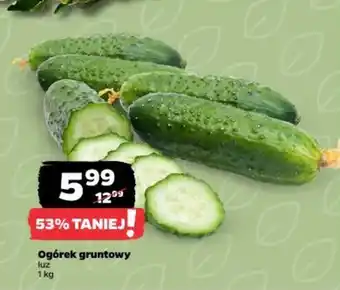 Netto Ogórek gruntowy oferta