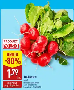 ALDI Rzodkiewki Aldi oferta
