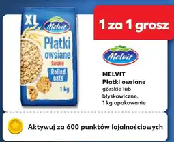 Kaufland Płatki owsiane górskie Melvit oferta