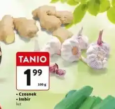 Intermarche Imbir oferta