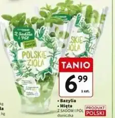 Intermarche Mięta Z Sadów I Pól oferta