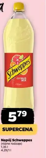 Netto Napój Schweppes oferta