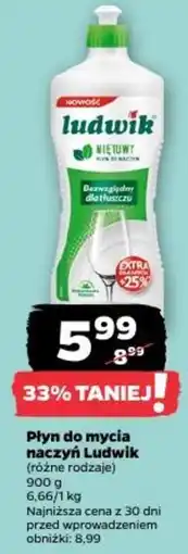 Netto Płyn do mycia naczyń Ludwik oferta