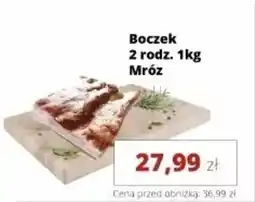 Torimpex Boczek Mróz oferta