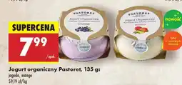 Biedronka Jogurt organiczny: jagoda Pastoret oferta