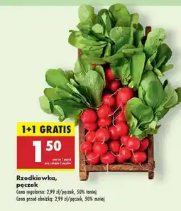 Biedronka Rzodkiewka - pęczek Biedronka oferta