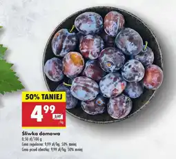 Biedronka Śliwka domowa 1 kg Biedronka oferta