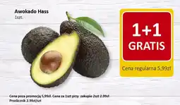 Market Point Awokado Hass oferta