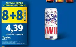 Lidl Żywiec oferta