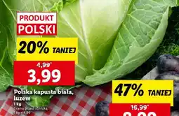 Lidl Polska kapusta biała, luzem oferta
