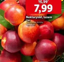 Lidl Nektarynki, luzem oferta