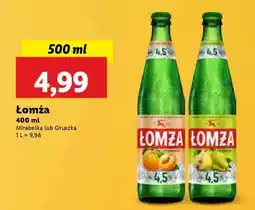 Lidl Łomża oferta
